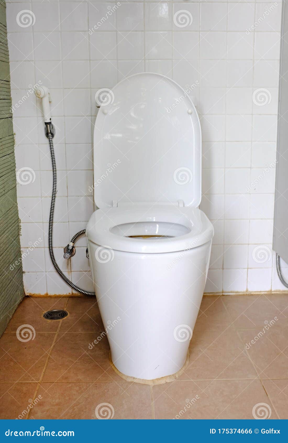 Interior of Toilet Seat in the Bathroom Stock Photo Image of toilet