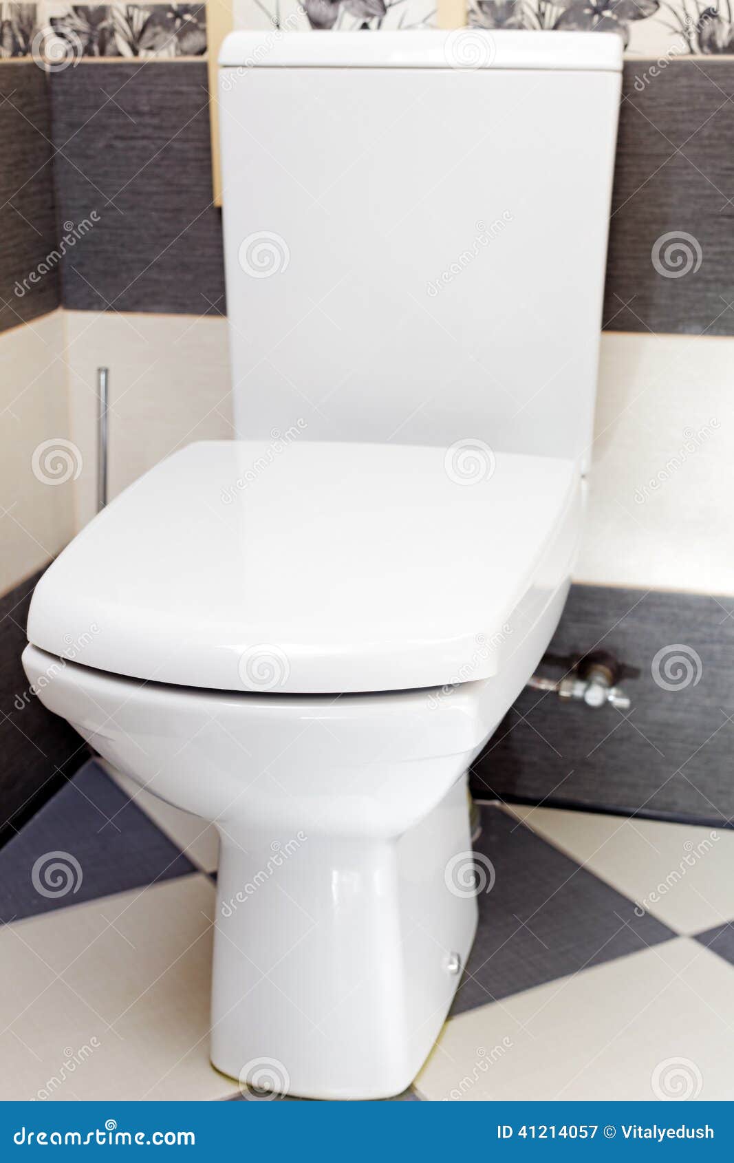 Interior of a Typical Watercloset. Stock Image Image of basin, bowl