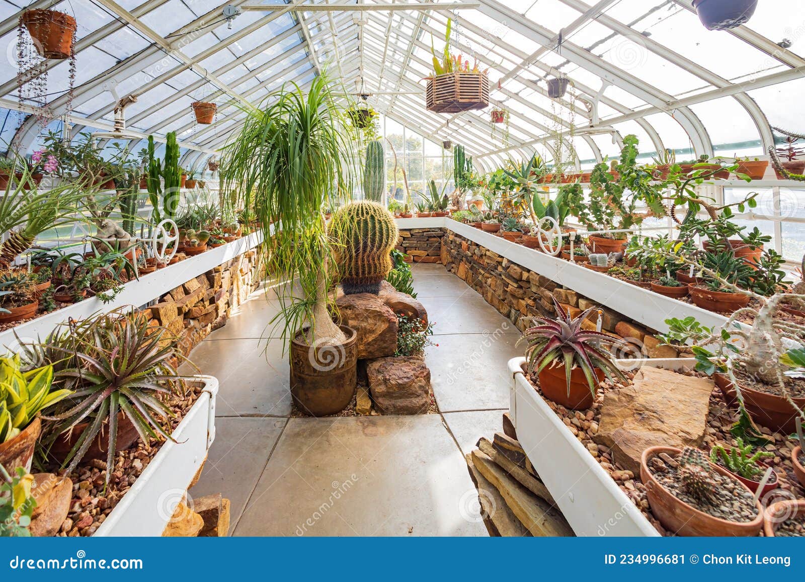 Interior View of the Conservatory at Woodward Park Editorial Photo