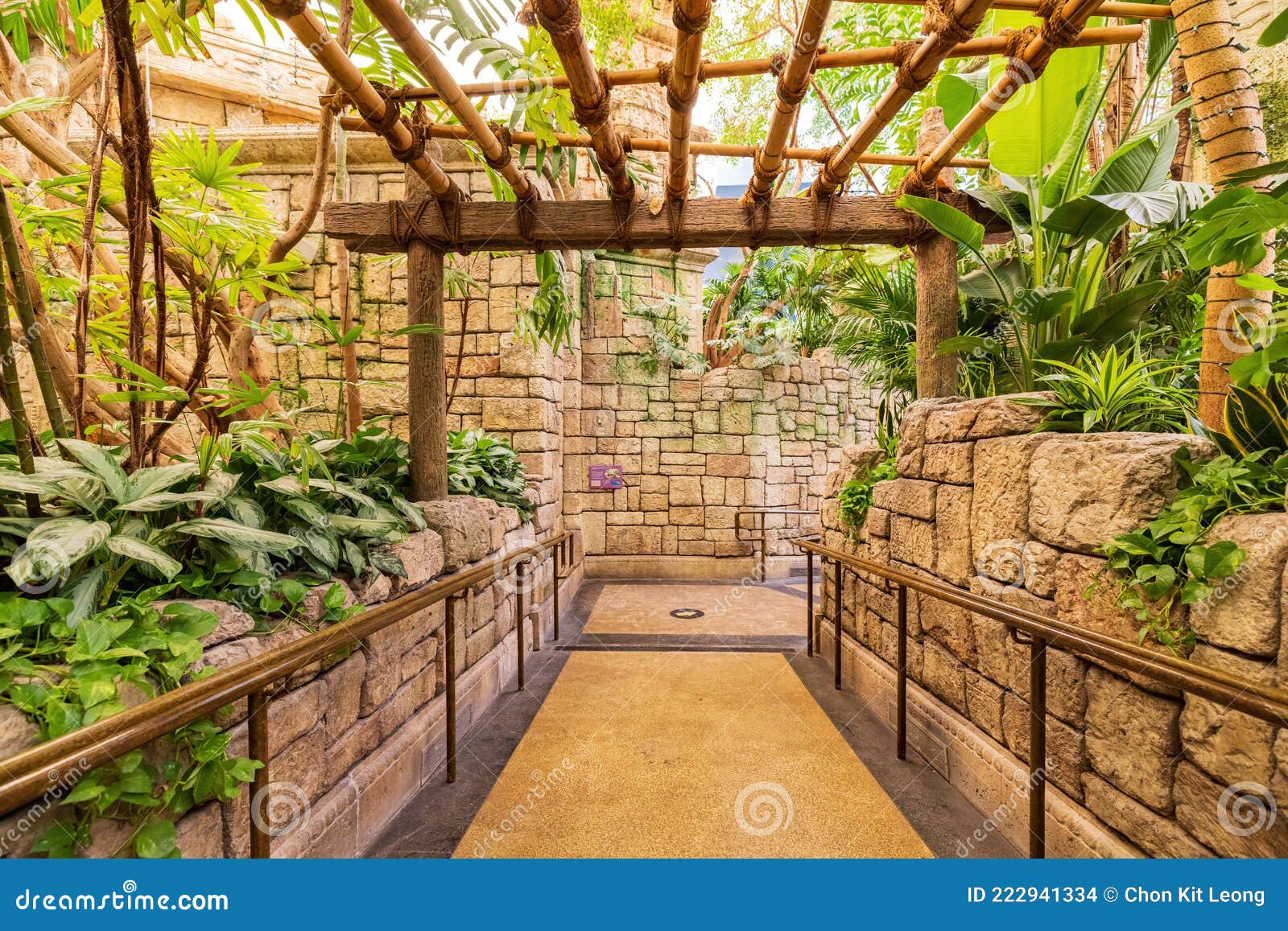 Interior View of the Shark Reef Aquarium Editorial Stock Image Image