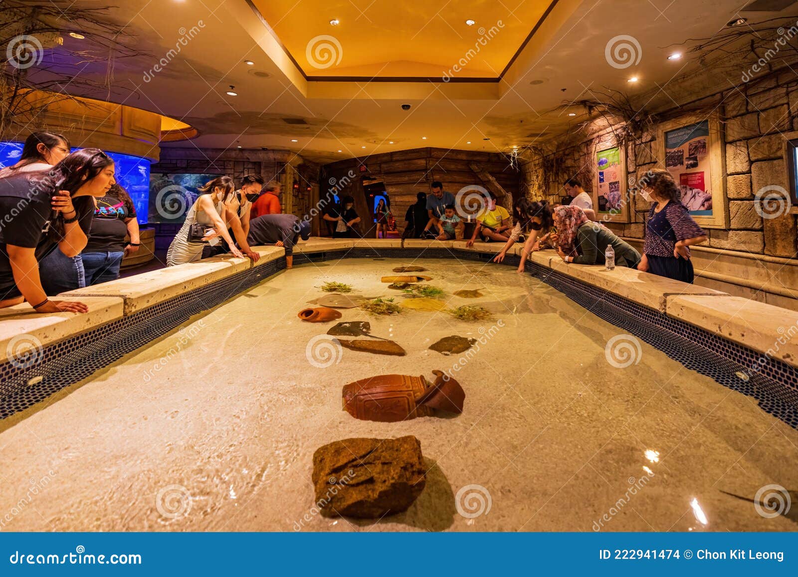 Interior View of the Shark Reef Aquarium Editorial Stock Image Image
