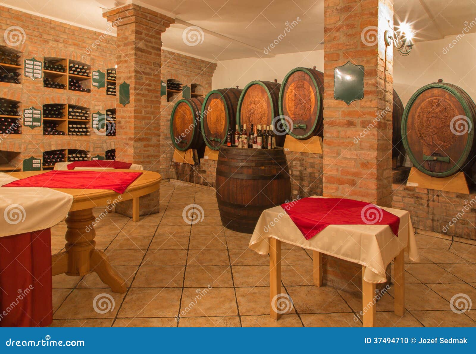 Interior of Wine Cellar of Great Slovak Producer. Editorial Image