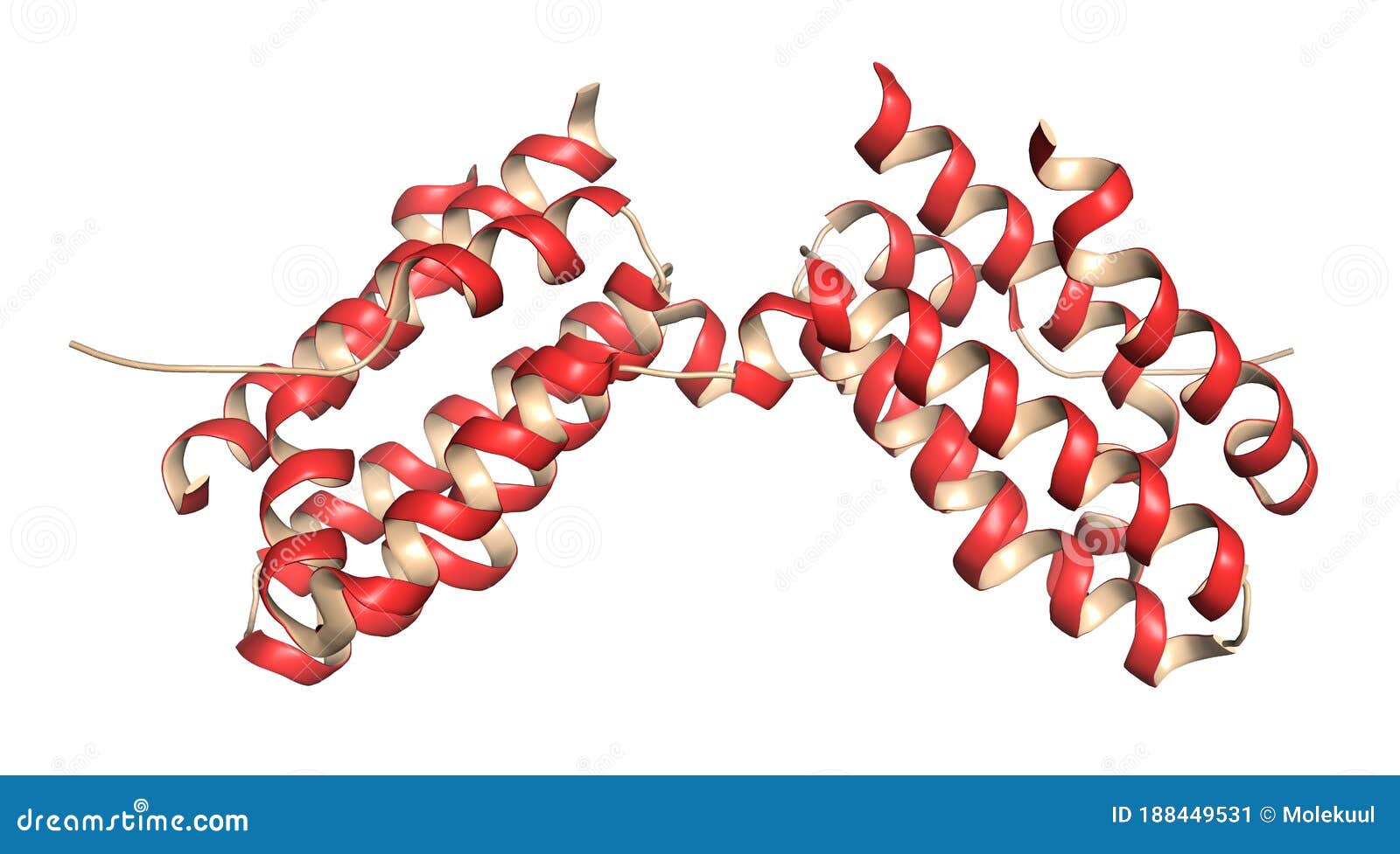 interleukin 10 (il-10) cytokine protein. investigated in the treatment of cancer.  3d rendering based on protein data bank entry