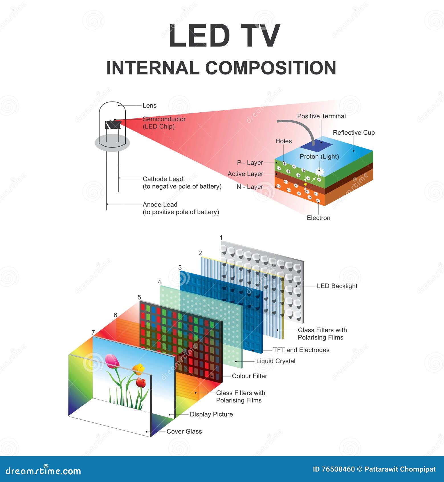 Internal Composition Led. Education Infographic. Vector Design. Stock