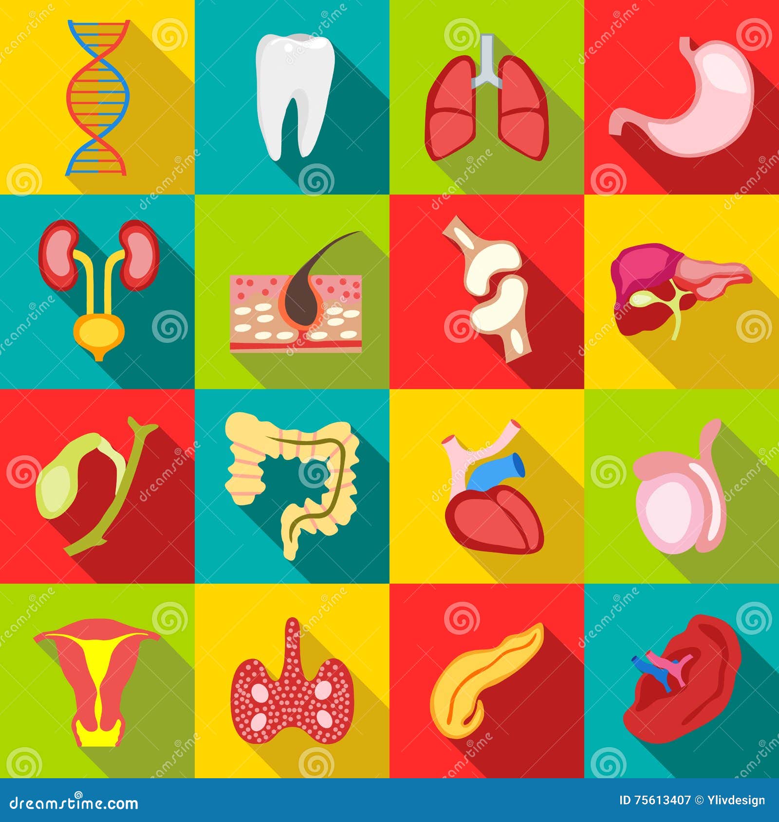 Internal organs icons set, flat style. Flat internal organs icons set. Universal internal organs icons to use for web and mobile UI, set of basic internal organs elements vector illustration