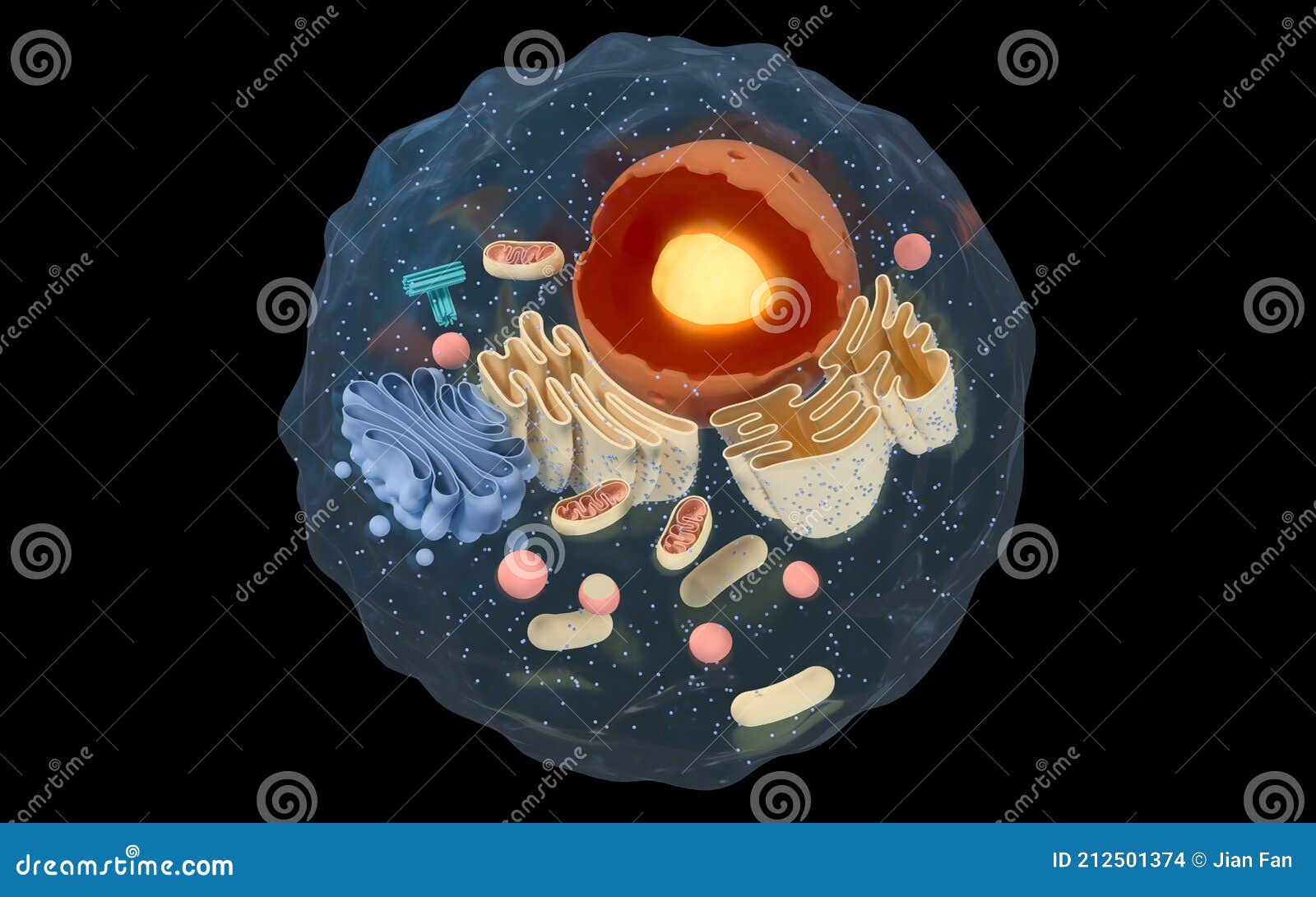 internal structure of an animal cell, 3d rendering. section view