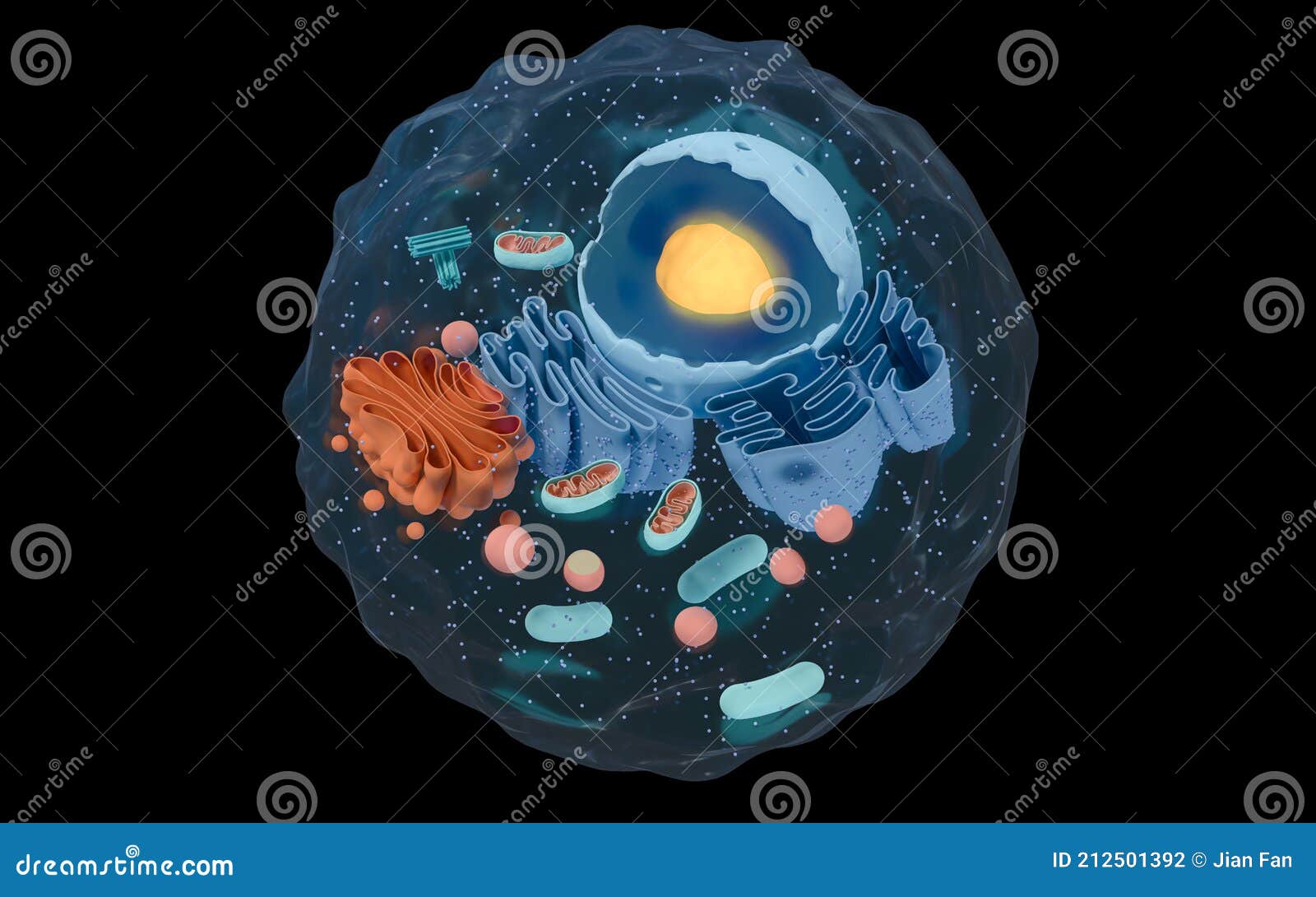 internal structure of an animal cell, 3d rendering. section view