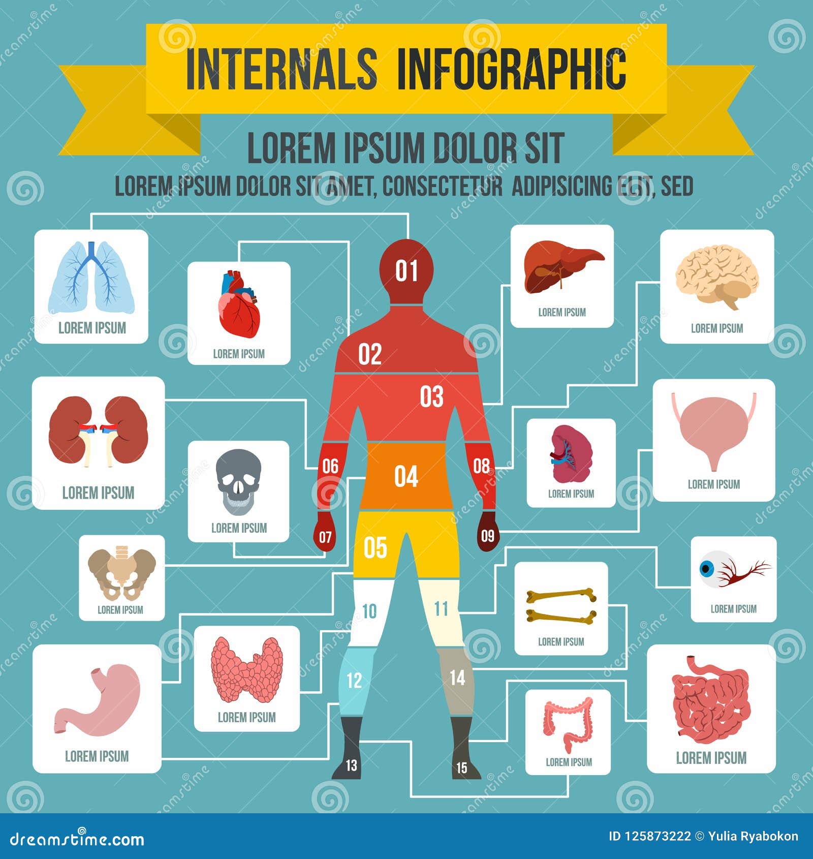 Internals Infographic Elements, Flat Style Stock Illustration ...