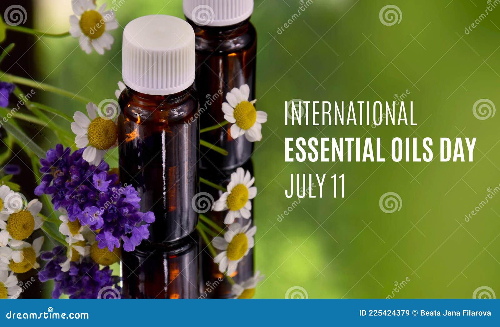 International Essential Oils Day Stock Images Stock Image Image of