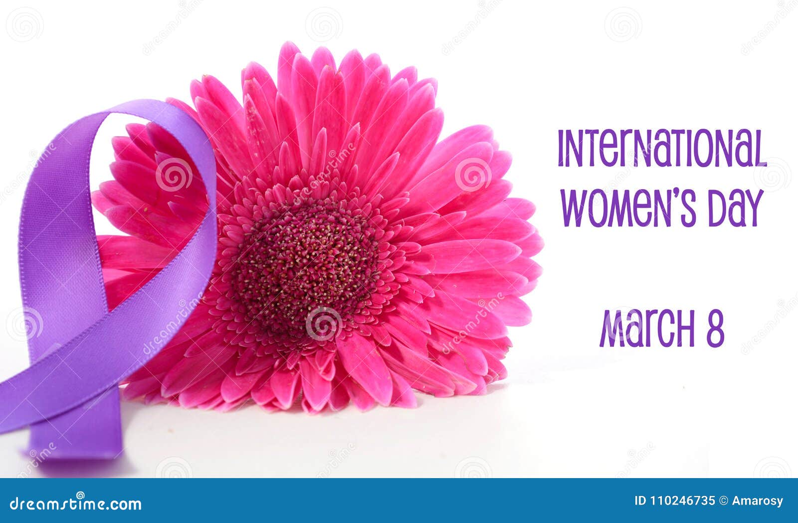 international women`s day pink gerbera with ic purple ribbon