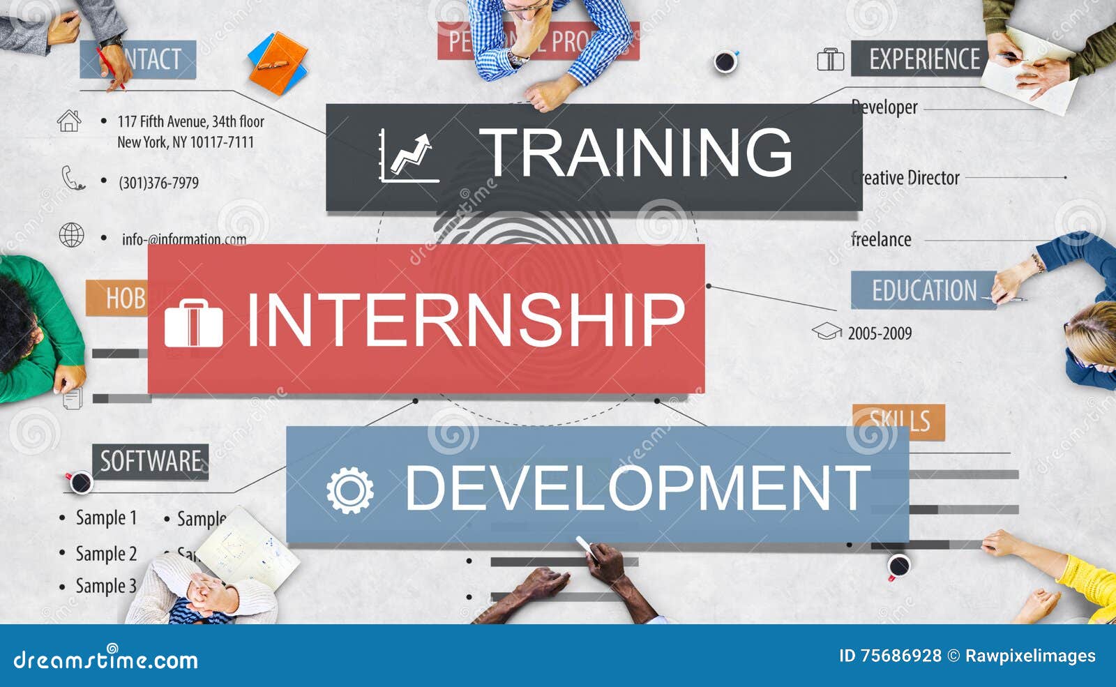internship training development business knowledge concept