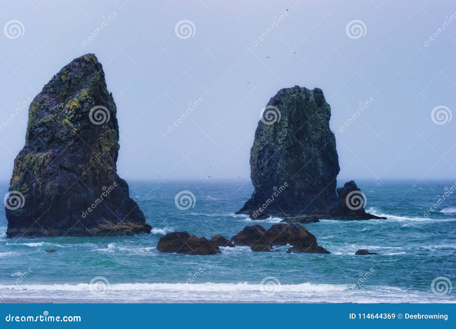 Tide Chart For Cannon Beach Oregon