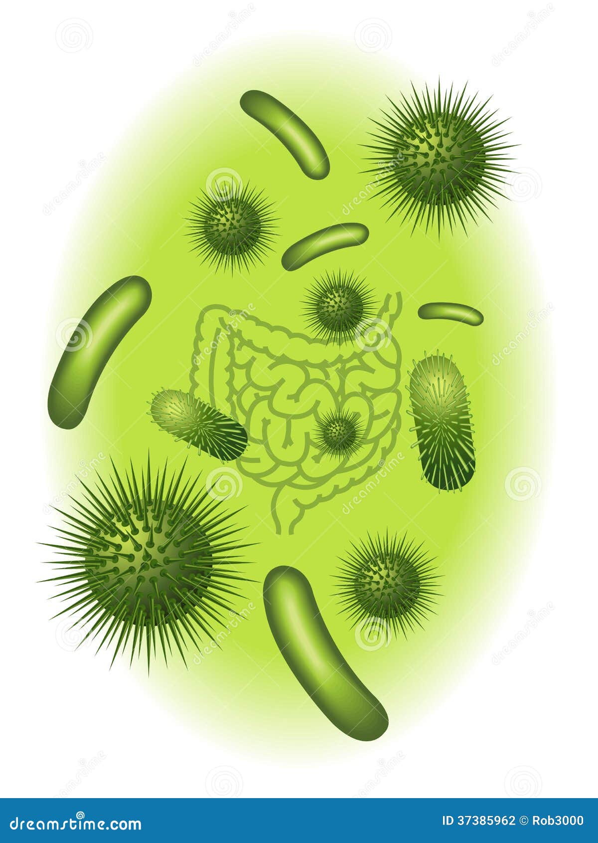 intestinal bacterial flora