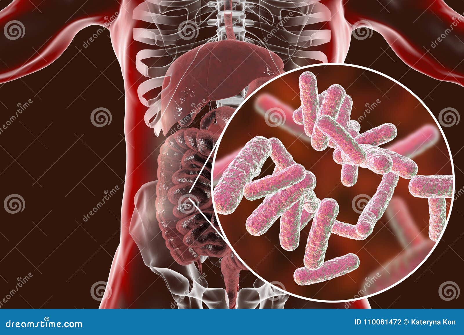 intestinal microbiome, close-up view of enteric bacteria