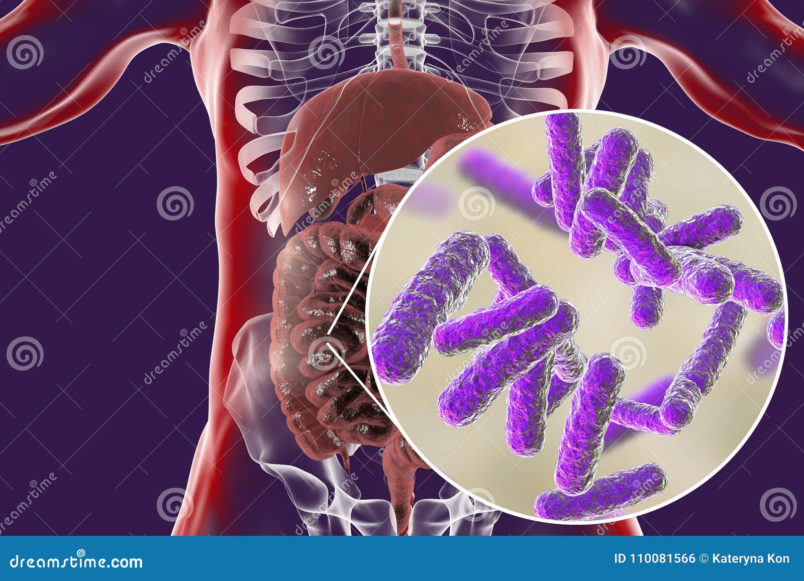 intestinal microbiome, close-up view of enteric bacteria
