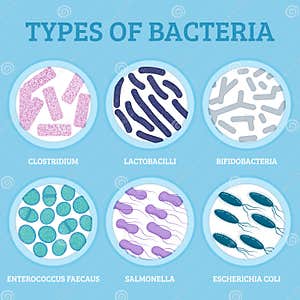 Types Of Bacteria Cartoon Vector CartoonDealer 34700241