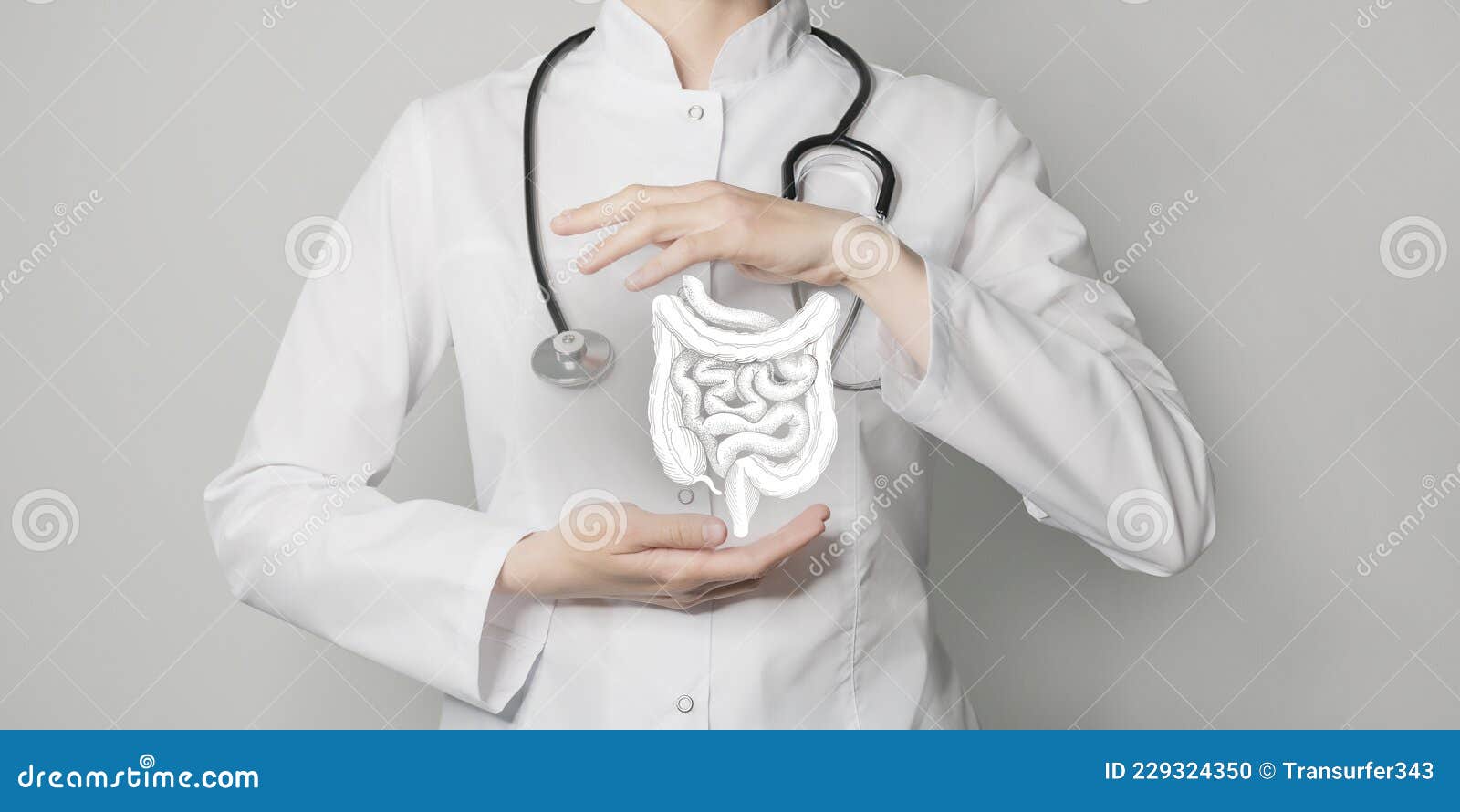 gastroenterologist doctor, intestine specialist. aesthetic handdrawn highlighted  of human intestine. neutral grey