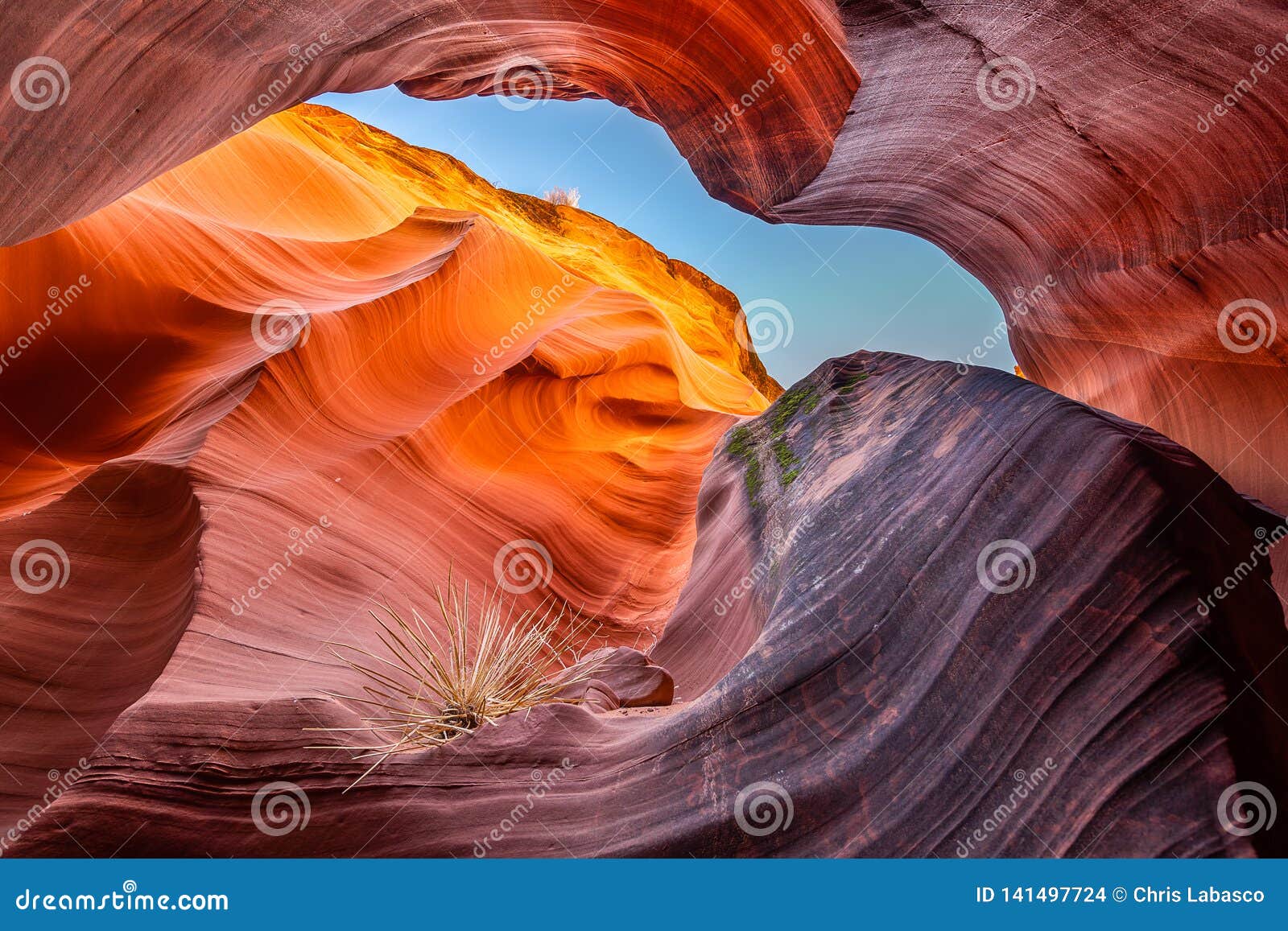 the intricate canyons of antelope canyon.