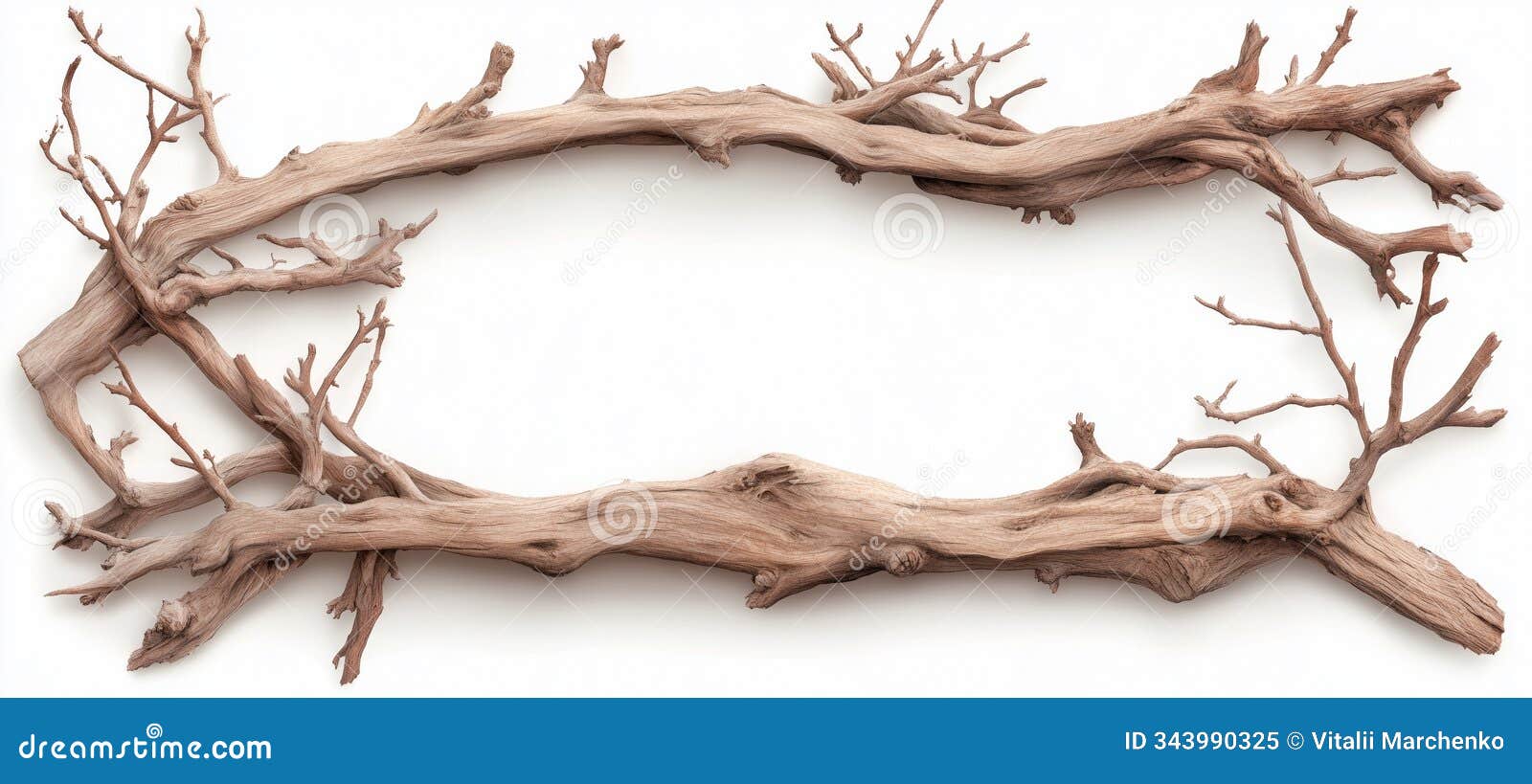 intricate line drawing of tree branches for nature art and  projects
