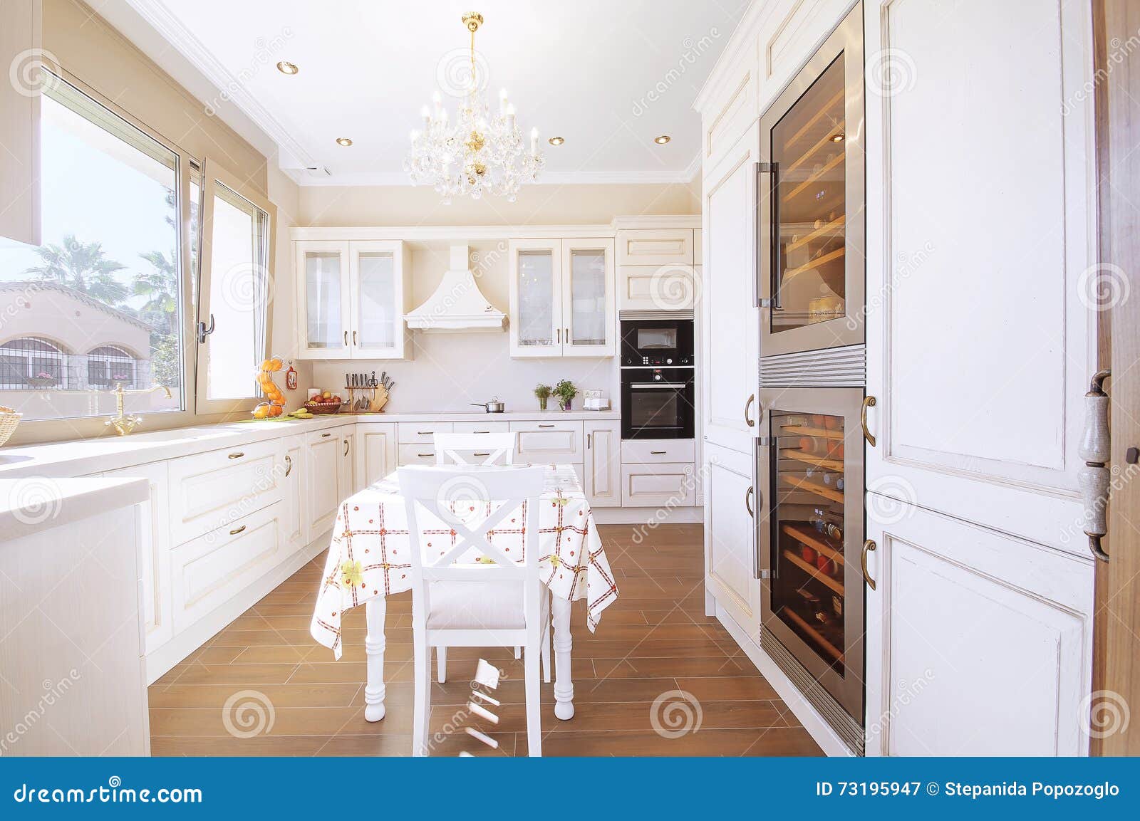 Maison de luxe moderne neuve de chambre photos stock image: 144093