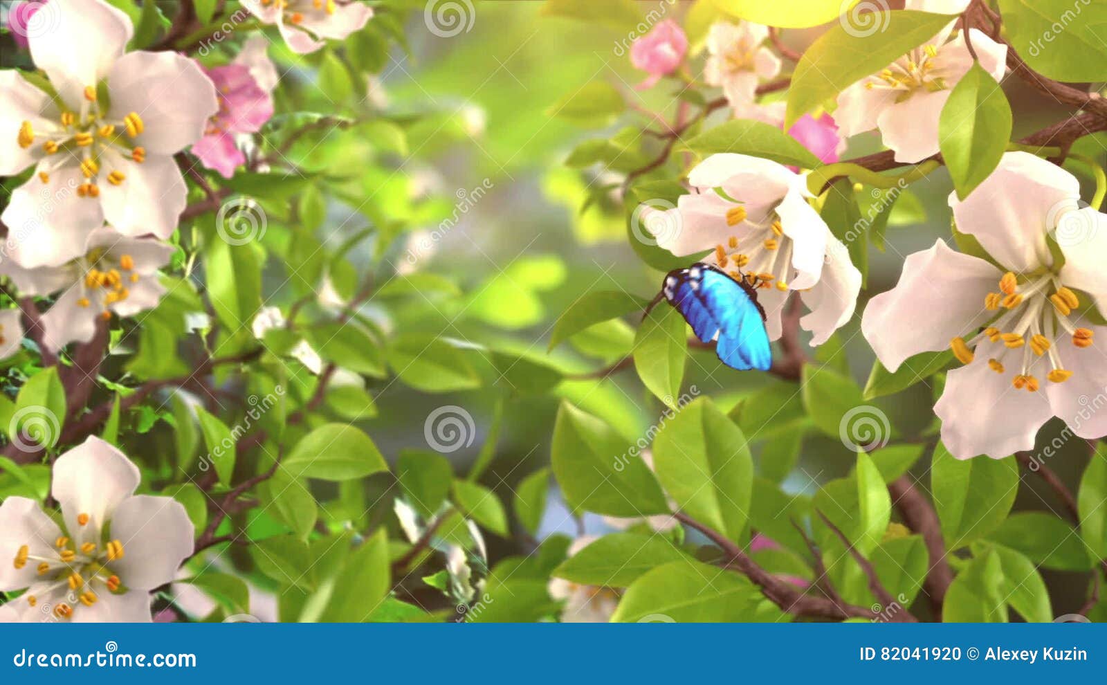 Introducción Con Las Mariposas Y Las Flores Florecientes Metrajes - Vídeo de lapso, hoja: 82041920 Introducción Con Las Mariposas Y Las Flores Florecientes Metrajes - Vídeo de lapso, hoja: 82041920