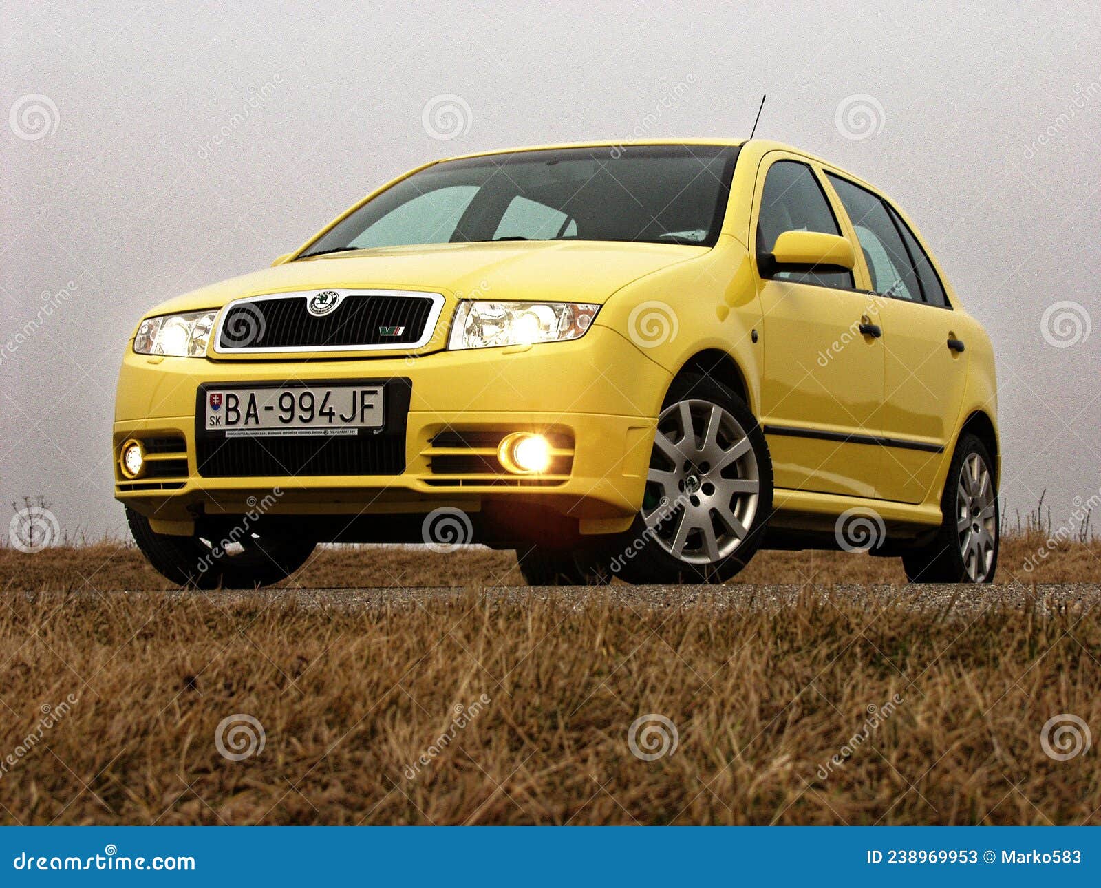 Skoda Fabia RS (2003-2007), Type 6Y Editorial Stock Photo - Image of pumpe,  petrol: 238969953