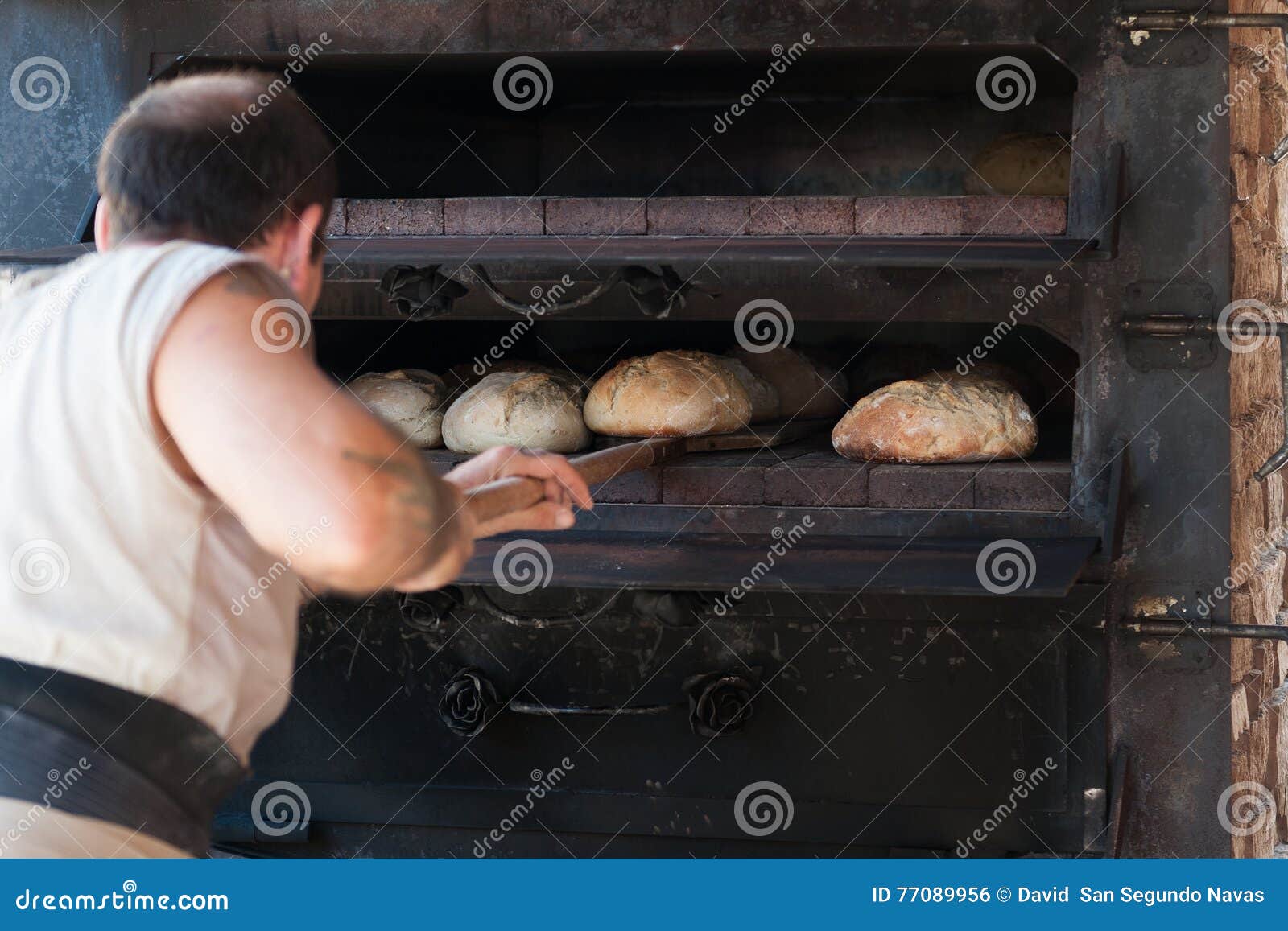 Introducing Artisan Baker Dough in the Oven Editorial Photo Image of