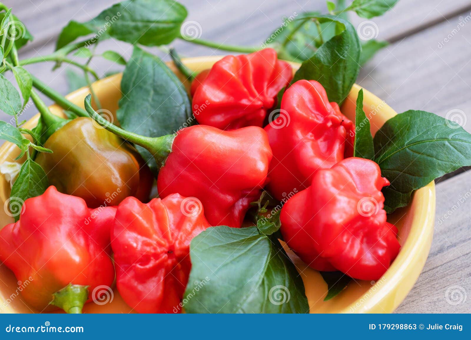introducing the mat hatter! peppers that will make you smile.