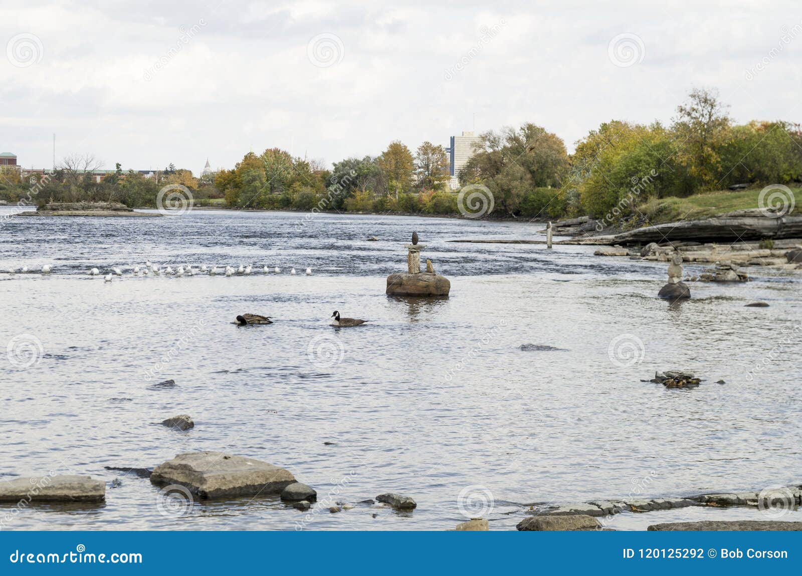 2017 inukshuks at remics rapids 14