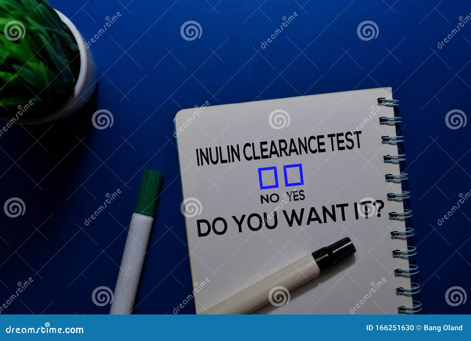 Inulin Clearance Test Do You Want It Yes Or No On Office Desk