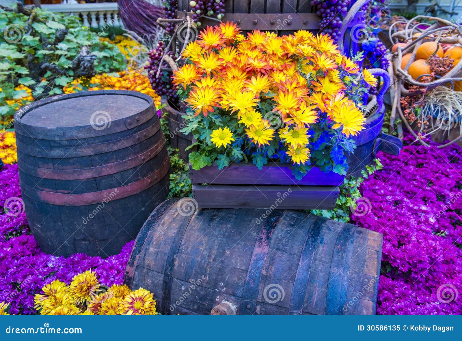 LAS VEGAS - 17 DE NOVIEMBRE: Temporada de otoño en invernadero del hotel de Bellagio y jardines botánicos el 17 de noviembre de 2012 en Las Vegas. Hay cinco temas estacionales que el invernadero experimenta cada año.