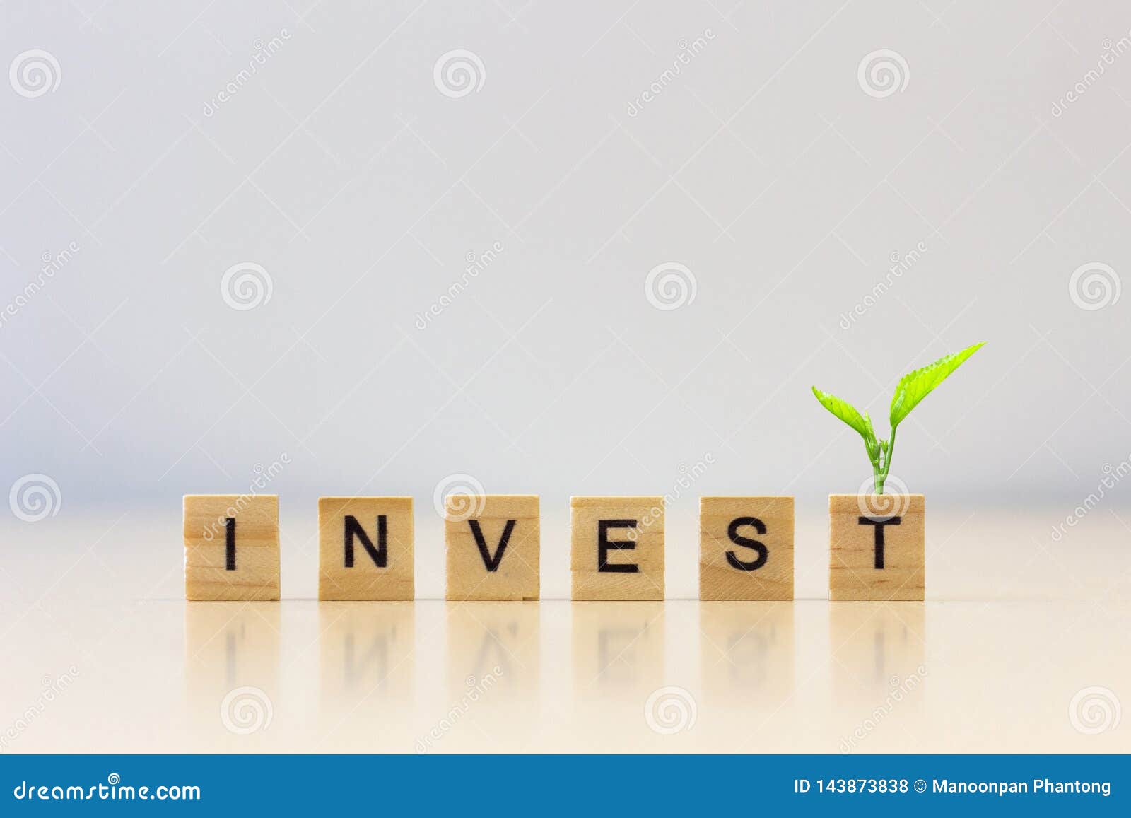 `INVEST` Word Wooden Cube with Plant on Cube Stock Photo - Image of ...