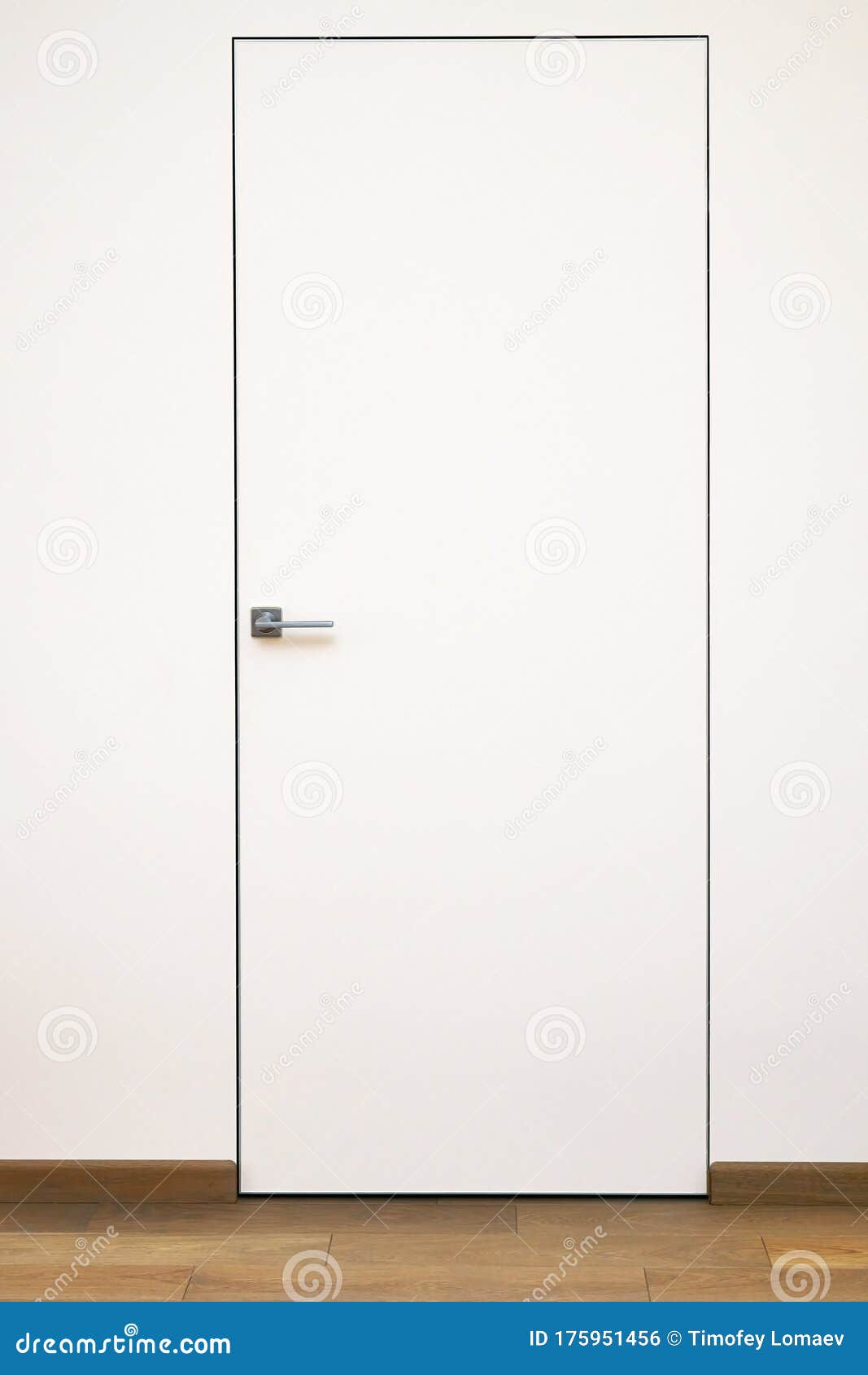 Invisible Interior Door. Aluminum Frame Hidden Door in Modern House Stock  Photo - Image of flooring, minimalism: 175951456, image size:1067x1690