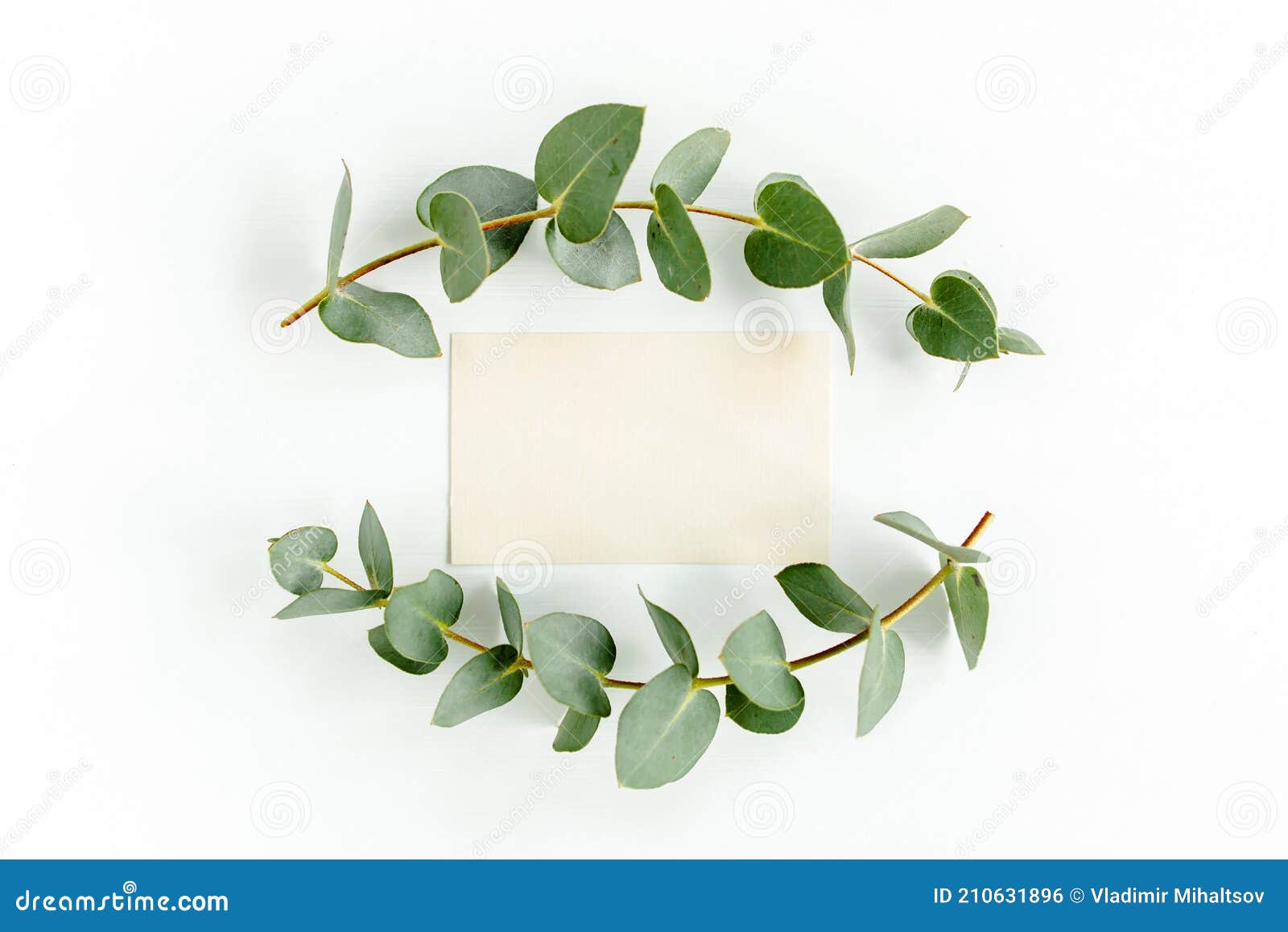 Carte Blanche Vierge Et Enveloppe Avec Des Feuilles D'eucalyptus Invitation  Vierge