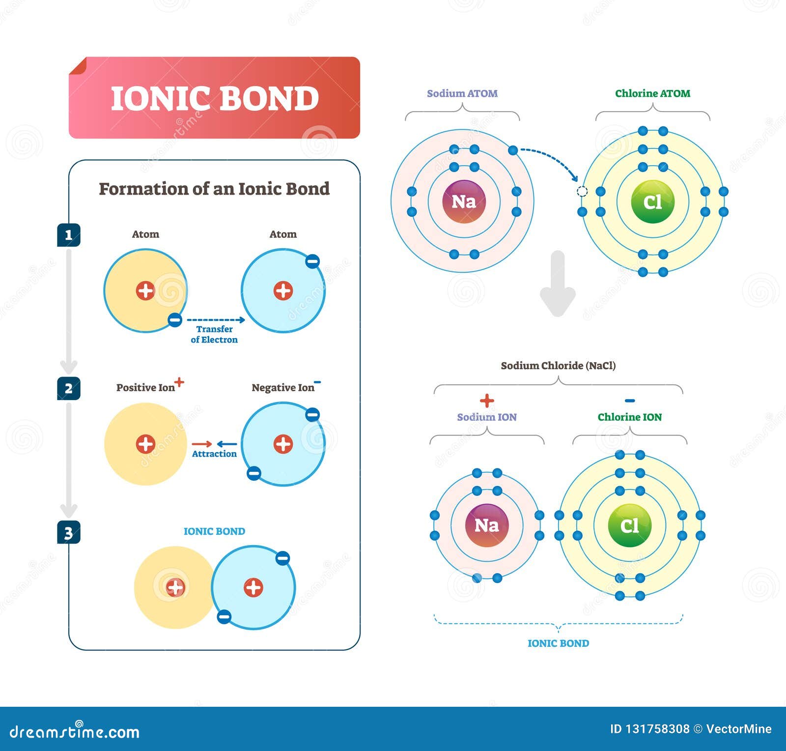 ionic bond  . labeled diagram with formation explanation.