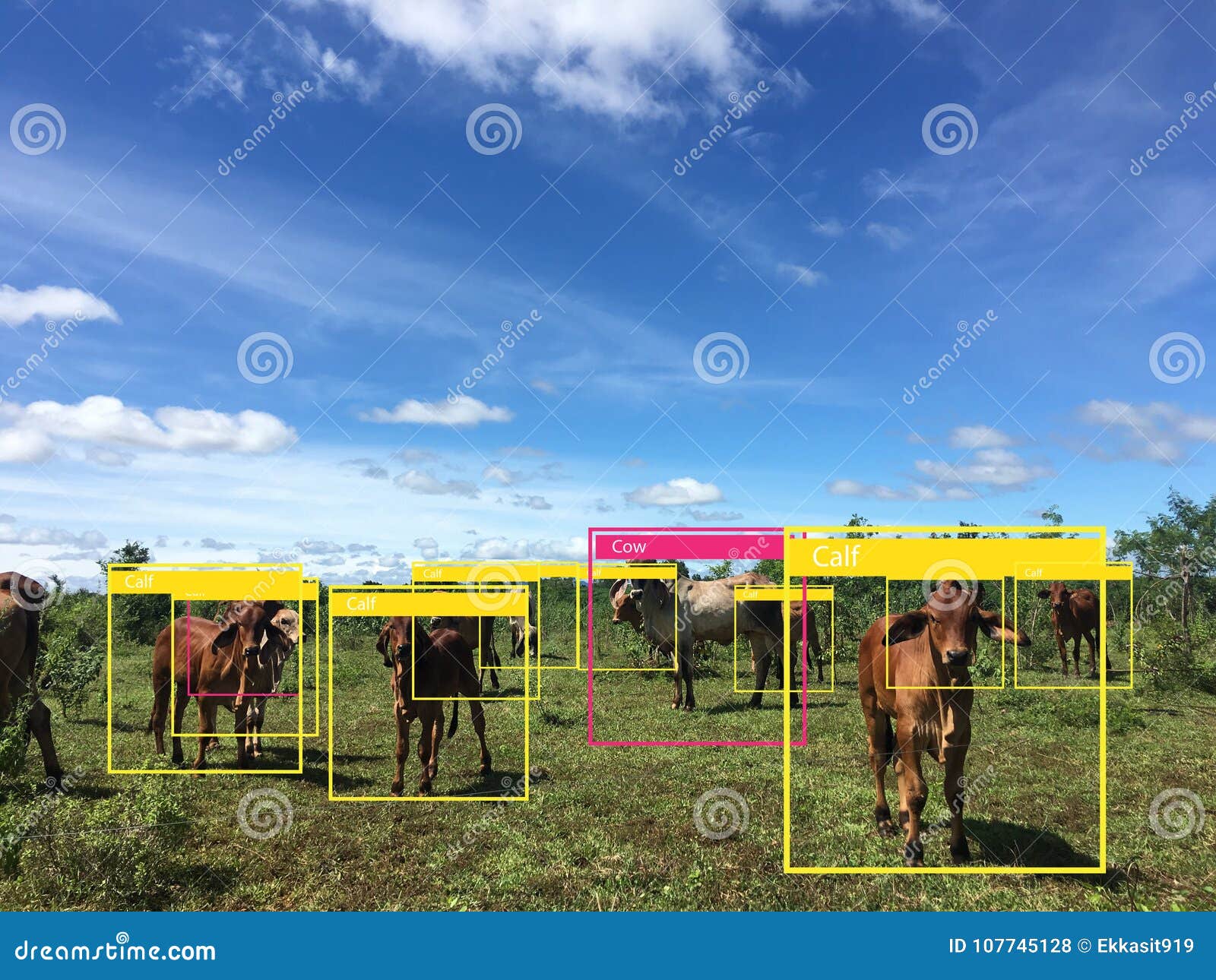 iot machine learning with human and object recognition which use artificial intelligence to measurements ,analytic and identical c