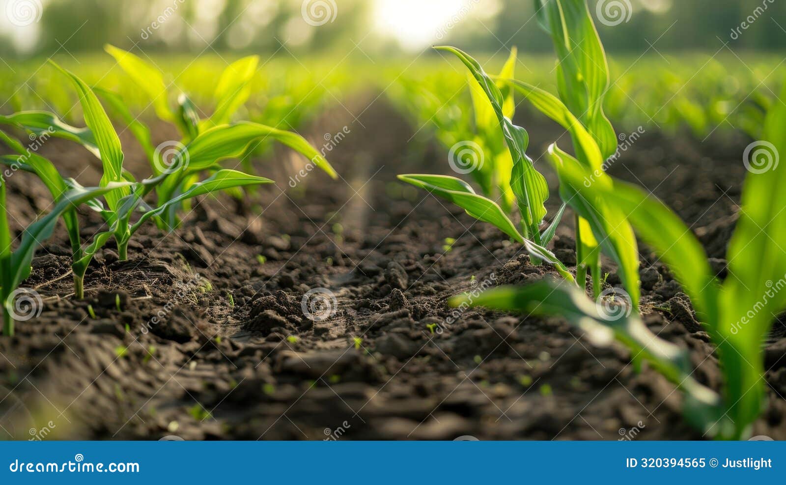 iotbased soil compaction sensors help farmers prevent soil erosion by precisely measuring soil density and moisture