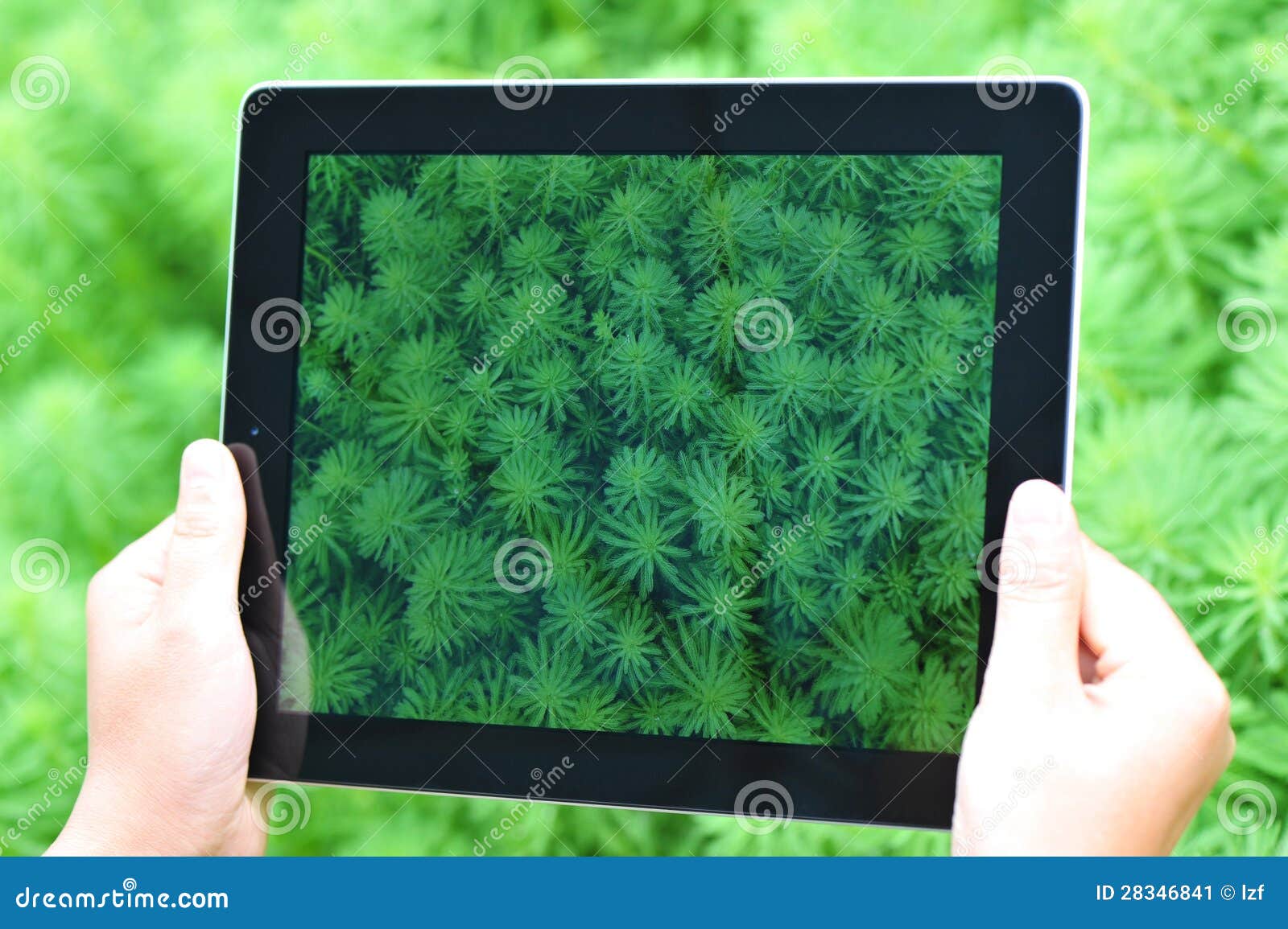 ipad 4 grass