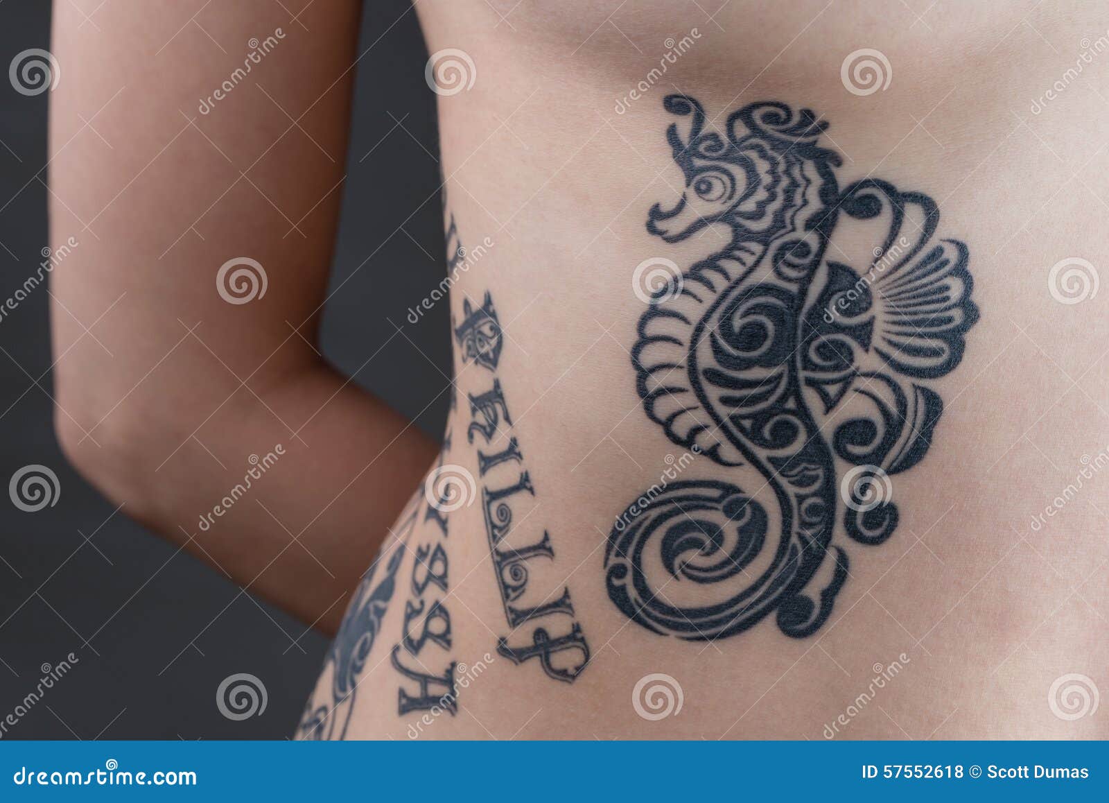 Ippocampo Sul Tatuaggio Delle Costole Fotografia Stock - Immagine di nantes, lettera: 57552618