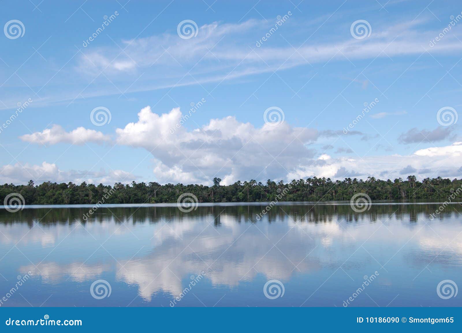 Iquitos湖秘鲁quistococha反映天空