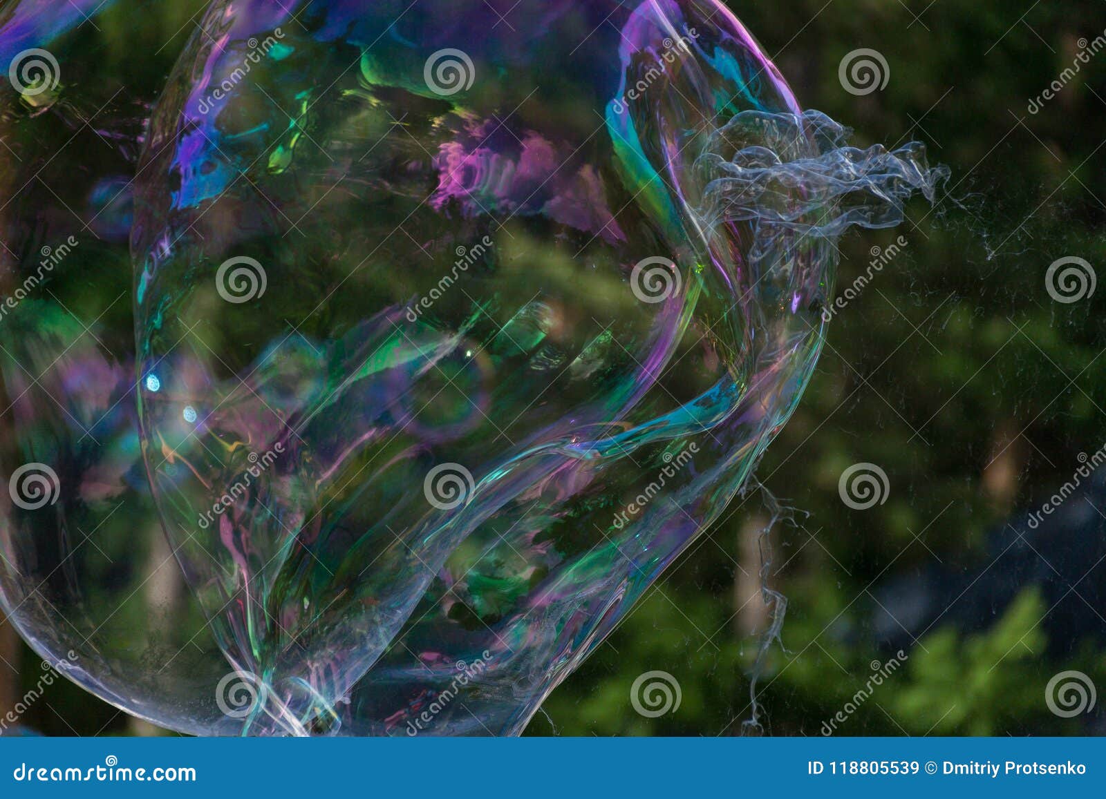 Iridescent Large Soap Bubbles Against the Background of the Forest ...