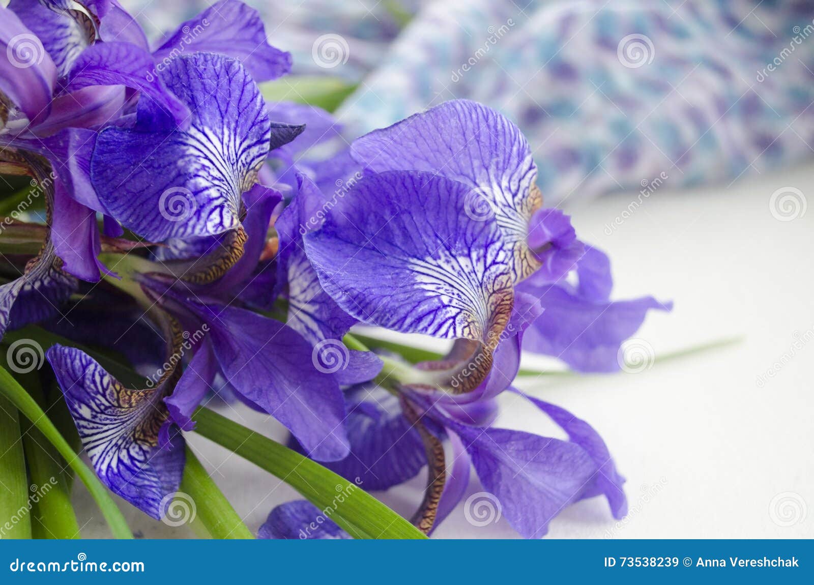 Iris Flower. Bouquet of Iris. Petals of a Flower of an Iris Stock Image