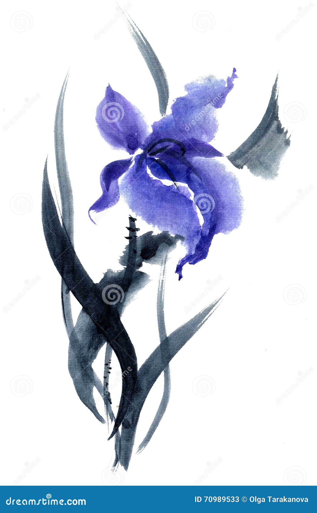 iris. flowers ..