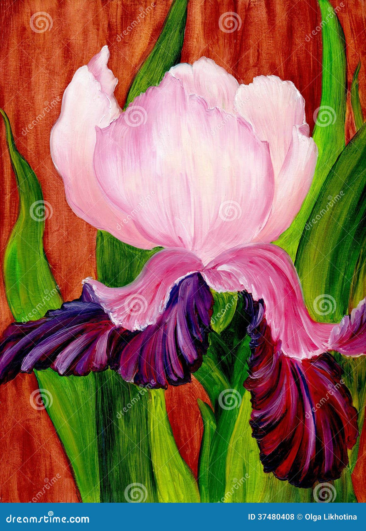 Iris. Oil painting stock illustration. Illustration of flower 37480408