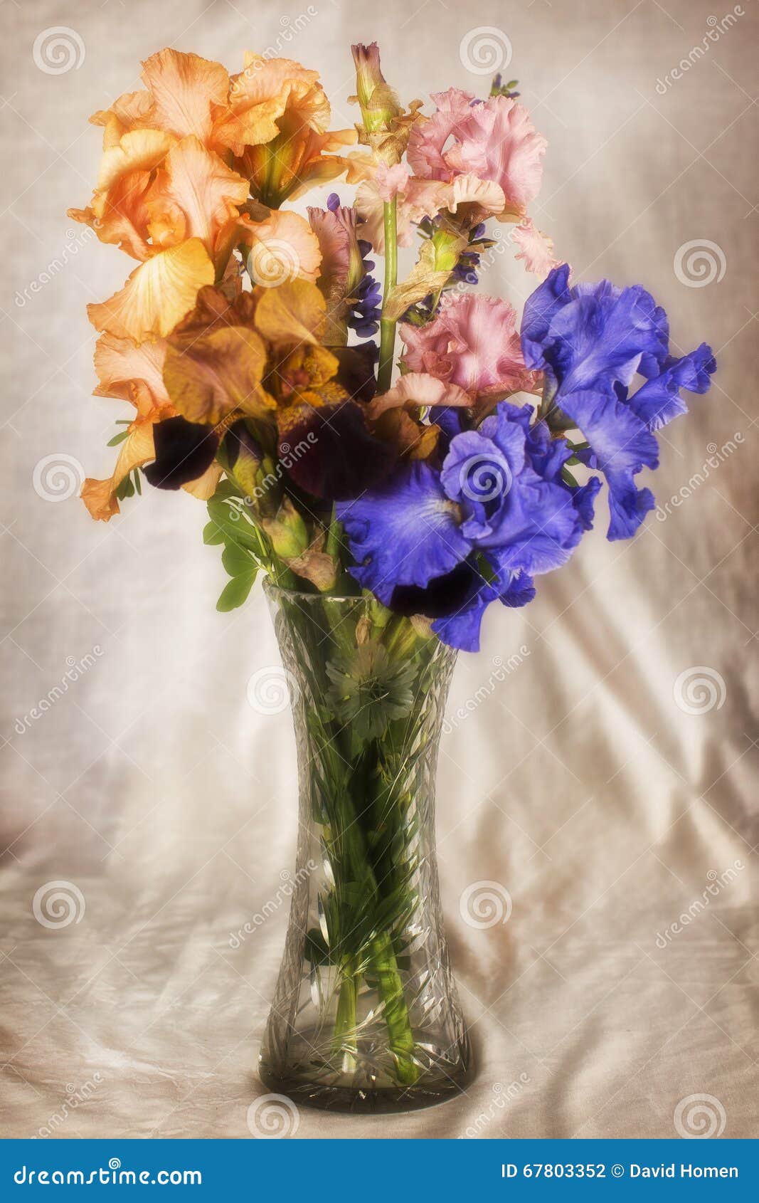Iris s in a Crystal Vase stock photo. Image of vase, crystal 67803352