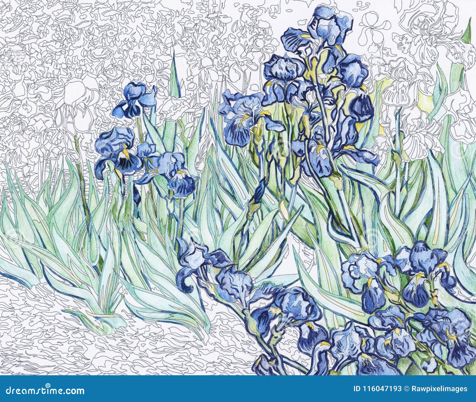 Gogh iris van Irises (painting)