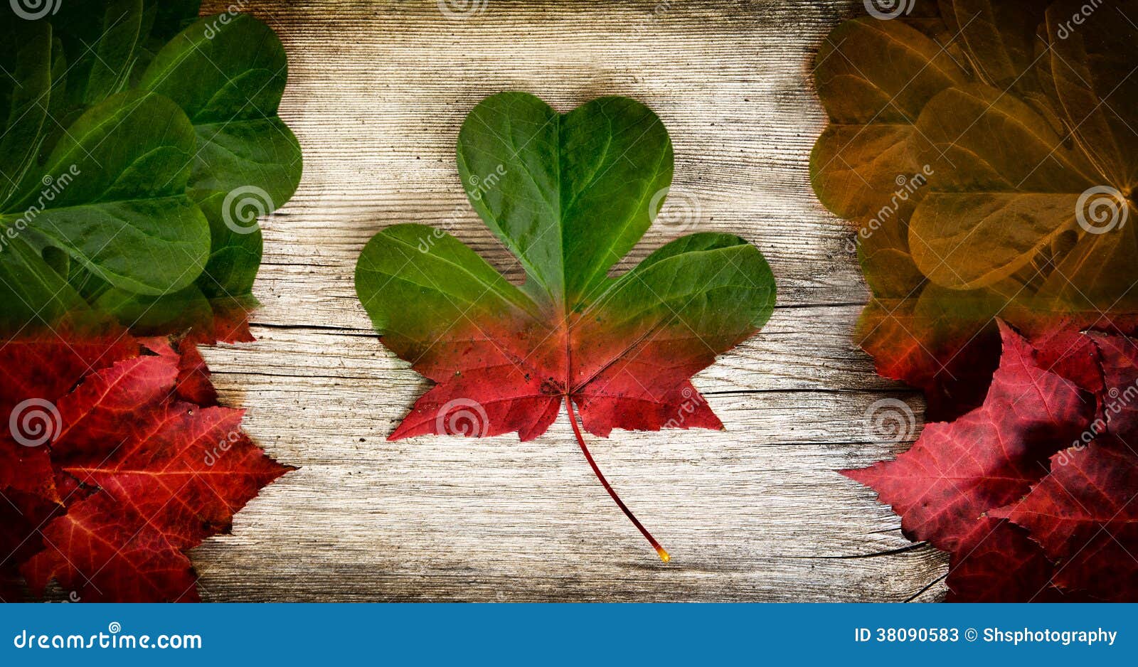 Irish Canadian Flag Art Concept Stock Image Image of maple, colors