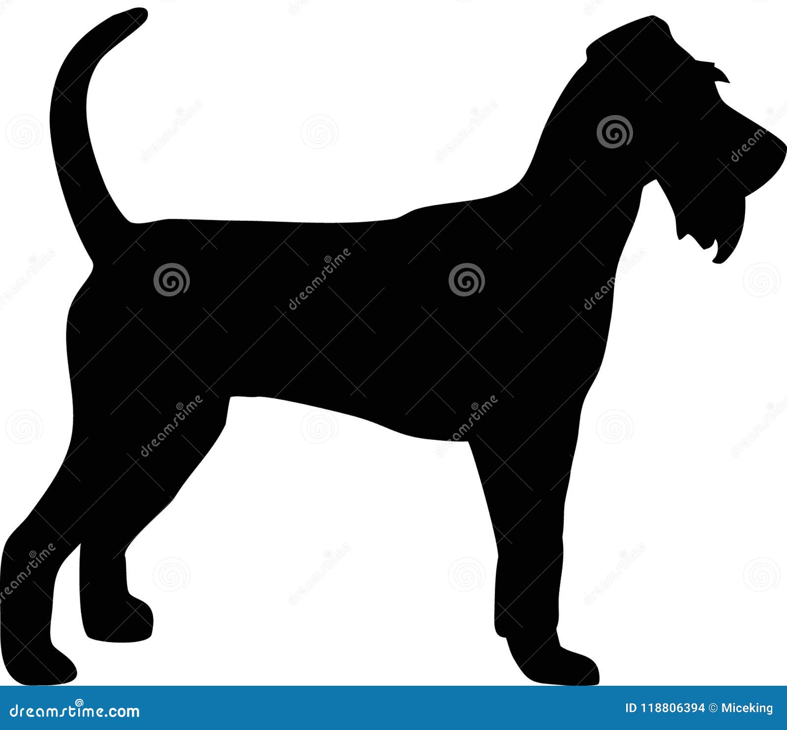 Irish Red Terrier Dog, Brocaire Rua Digital Art Illustration Isolated
