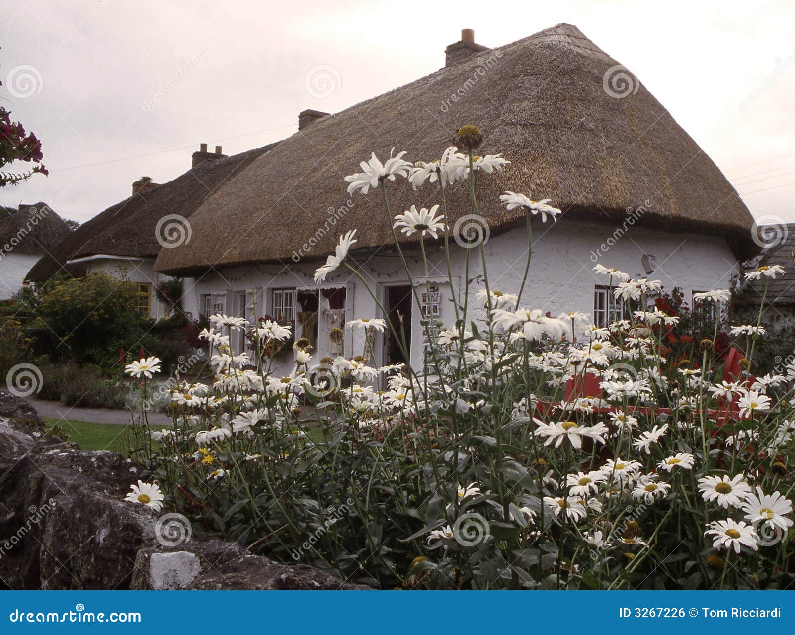 irish village cottage ,adare ireland