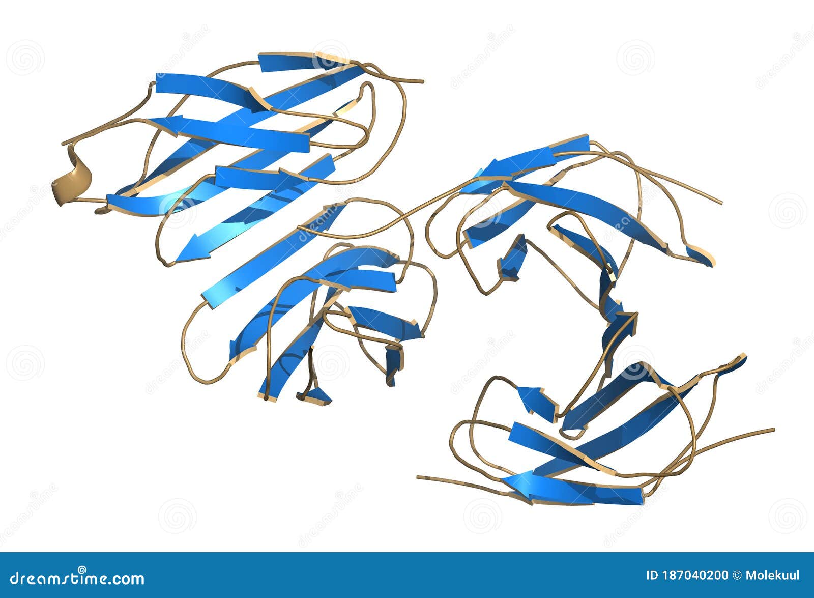 irisin (fibronectin type iii domain-containing protein 5) protein. myokine shown to promote conversion of white to brown fat